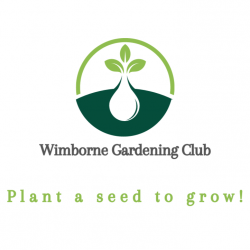 Wimborne Gardening Club
